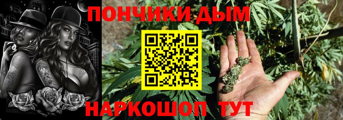 Шишки марихуана семена Елизово